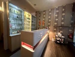 Hong Lim Complex (D1), Shop House #600655641